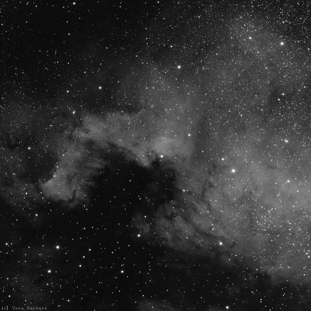 2009.08.15-20h13m-ngc7000-oiii.jpg