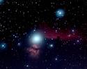 Horsehead and Flame Nebulae thumbnail