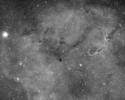 IC1396/vdB142 - The Elephants Trunk (H-alfa) thumbnail