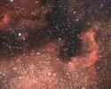 NGC7000 - North America Nebula thumbnail