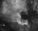 NGC7000 - The North America Nebula (H-alpha) thumbnail